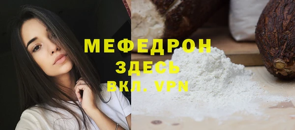 молекула духа Богородицк