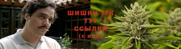 гидропоника Богданович