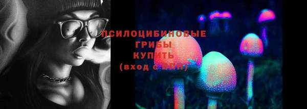 apvp Богородск