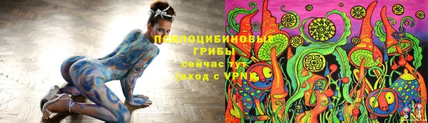 гидропоника Богданович