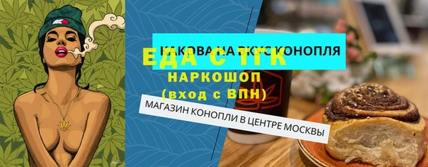 молекула духа Богородицк