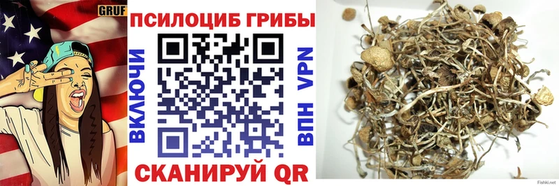 Галлюциногенные грибы Cubensis наркотики Дагестанские Огни